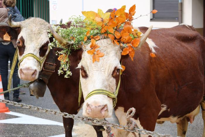 Foire d'Automne