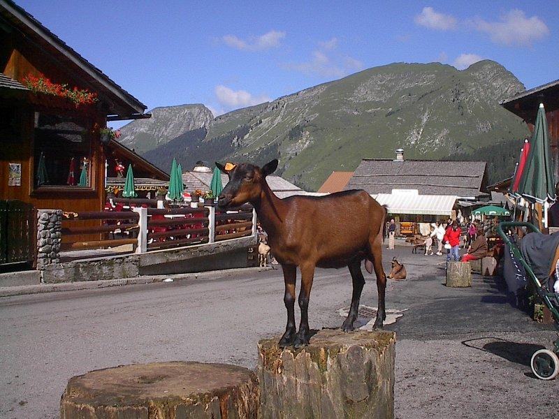 Les Lindarets