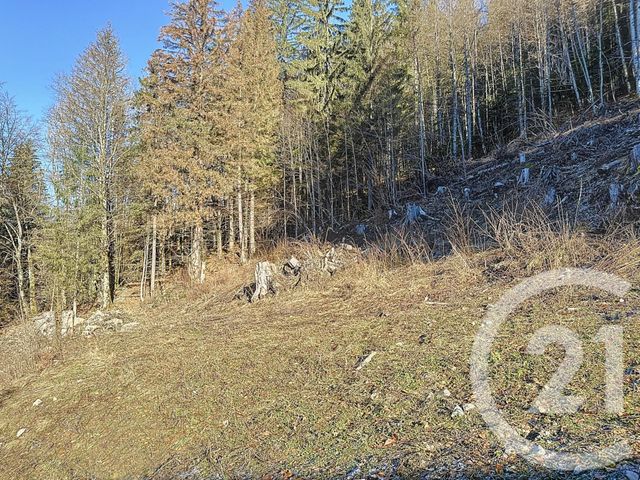 Afficher la photo en grand terrain à vendre - 1142.0 m2 - MORZINE - 74 - RHONE-ALPES - Century 21 Call Home