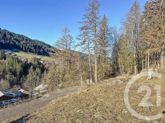 terrain à vendre - 754.0 m2 - MORZINE - 74 - RHONE-ALPES - Century 21 Call Home